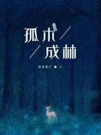 孤木成林小说封面