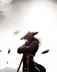 你是哪个小顶流